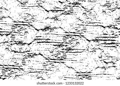 Grunge overlay layer. Abstract black and white vector background. Monochrome vintage surface with dirty pattern in cracks, spots, dots. Old wall in dark horror style design