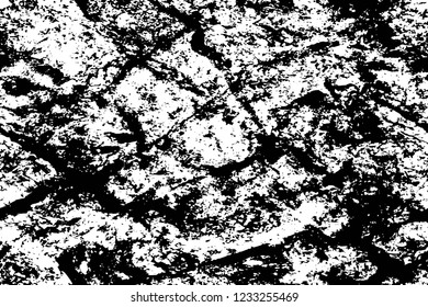 Grunge overlay layer. Abstract black and white vector background. Monochrome vintage surface with dirty pattern in cracks, spots, dots. Old wall in dark horror style design