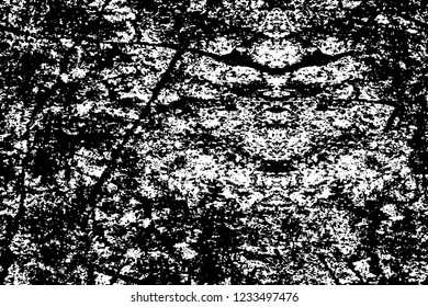 Grunge overlay layer. Abstract black and white vector background. Monochrome vintage surface with dirty pattern in cracks, spots, dots. Old wall in dark horror style design