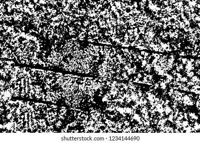 Grunge overlay layer. Abstract black and white vector background. Monochrome vintage surface with dirty pattern in cracks, spots, dots. Old wall in dark horror style design