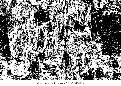 Grunge overlay layer. Abstract black and white vector background. Monochrome vintage surface with dirty pattern in cracks, spots, dots. Old wall in dark horror style design