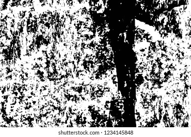 Grunge overlay layer. Abstract black and white vector background. Monochrome vintage surface with dirty pattern in cracks, spots, dots. Old wall in dark horror style design