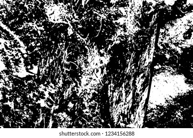 Grunge overlay layer. Abstract black and white vector background. Monochrome vintage surface with dirty pattern in cracks, spots, dots. Old wall in dark horror style design