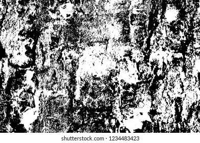 Grunge overlay layer. Abstract black and white vector background. Monochrome vintage surface with dirty pattern in cracks, spots, dots. Old wall in dark horror style design