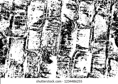 Grunge overlay layer. Abstract black and white vector background. Monochrome vintage surface with dirty pattern in cracks, spots, dots. Old wall in dark horror style design