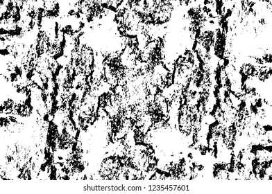 Grunge overlay layer. Abstract black and white vector background. Monochrome vintage surface with dirty pattern in cracks, spots, dots. Old wall in dark horror style design