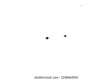 Grunge overlay layer. Abstract black and white vector background. Monochrome vintage surface with dirty pattern in cracks, spots, dots. Old wall in dark horror style design