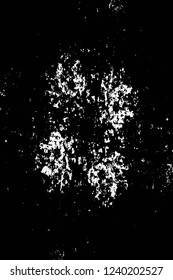 Grunge overlay layer. Abstract black and white vector background. Monochrome vintage surface with dirty pattern in cracks, spots, dots. Old wall in dark horror style design
