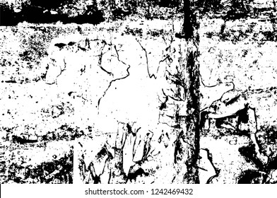Grunge overlay layer. Abstract black and white vector background. Monochrome vintage surface with dirty pattern in cracks, spots, dots. Old wall in dark horror style design