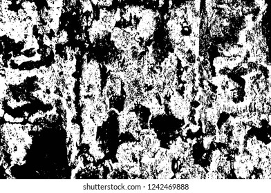 Grunge overlay layer. Abstract black and white vector background. Monochrome vintage surface with dirty pattern in cracks, spots, dots. Old wall in dark horror style design