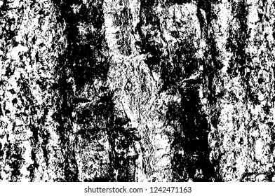 Grunge overlay layer. Abstract black and white vector background. Monochrome vintage surface with dirty pattern in cracks, spots, dots. Old wall in dark horror style design