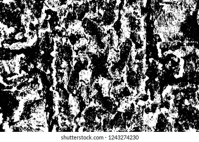 Grunge overlay layer. Abstract black and white vector background. Monochrome vintage surface with dirty pattern in cracks, spots, dots. Old wall in dark horror style design