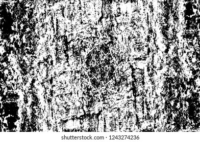 Grunge overlay layer. Abstract black and white vector background. Monochrome vintage surface with dirty pattern in cracks, spots, dots. Old wall in dark horror style design