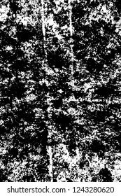 Grunge overlay layer. Abstract black and white vector background. Monochrome vintage surface with dirty pattern in cracks, spots, dots. Old wall in dark horror style design