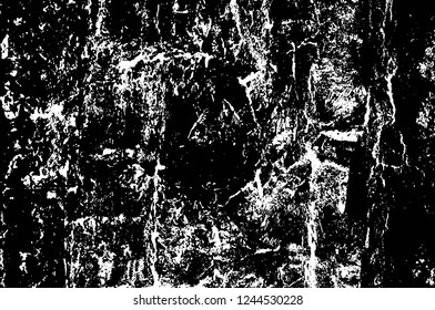 Grunge overlay layer. Abstract black and white vector background. Monochrome vintage surface with dirty pattern in cracks, spots, dots. Old wall in dark horror style design