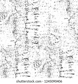 Grunge overlay layer. Abstract black and white vector background. Monochrome vintage surface with dirty pattern in cracks, spots, dots. Old wall in dark horror style design
