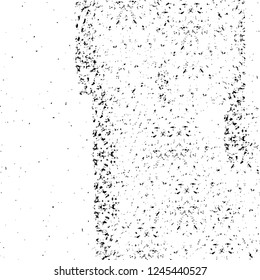 Grunge overlay layer. Abstract black and white vector background. Monochrome vintage surface with dirty pattern in cracks, spots, dots. Old wall in dark horror style design