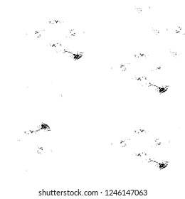 Grunge overlay layer. Abstract black and white vector background. Monochrome vintage surface with dirty pattern in cracks, spots, dots. Old painted wall in dark horror style design