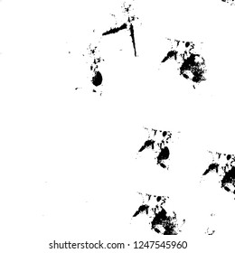 Grunge overlay layer. Abstract black and white vector background. Monochrome vintage surface with dirty pattern in cracks, spots, dots. Old painted wall in dark horror style design