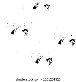 Grunge overlay layer. Abstract black and white vector background. Monochrome vintage surface with dirty pattern in cracks, spots, dots. Old painted wall in dark horror style design