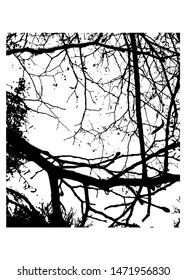 Grunge overlay texture. Dirty branches vector  background.
