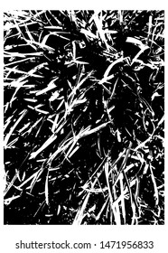 Grunge overlay texture. Dirty grain grass vector  background.