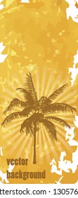 grunge palm background