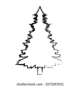 grunge pine tree with stalk and leaves branches