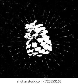 Grunge pinecone with burst on a old textured background . Vector illustration for poster template, web, card, flyer.
