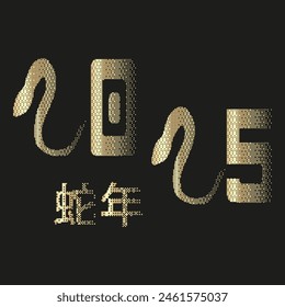 Grunge Pixel vector 2025 New Year banner design isolated black background. Snake 2025 number for Typogrpahy template in trend Chrome Metal Golden style. Luxury vector for Web. 蛇年-Snake Year 