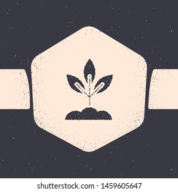 Grunge Plant icon isolated on grey background. Seed and seedling. Leaves sign. Leaf nature. Monochrome vintage drawing. Vector Illustration