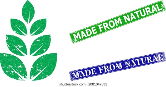 Grunge plantation icon and rectangular scratched Made from Natural seal stamp. Vector green Made from Natural and blue Made from Natural watermarks with grunge rubber texture,