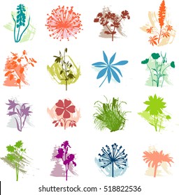 Grunge plants set