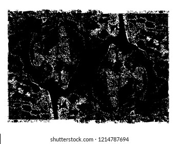 Grunge post Stamps Collection, rectangles
. Banners, Insignias , Logos, Icons, Labels and Badges Set . vector distress textures.blank shapes.