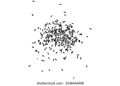 Grunge rice background. Handmade random pattern of rice explosion on the flat surface or table. Top view. Vector.