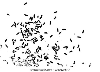 Grunge rice background. Handmade random pattern of rice explosion on the flat surface or table. Top view. Vector.