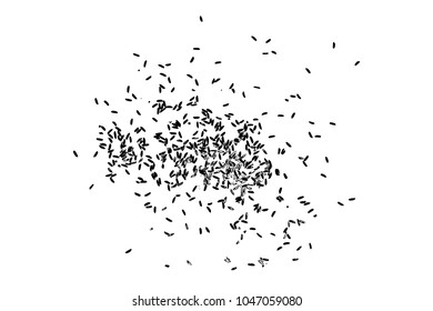 Grunge rice background. Handmade random pattern of rice explosion on the flat surface or table. Top view. Vector.