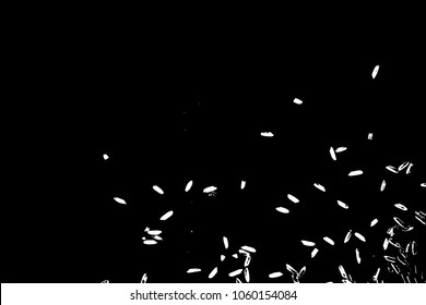 Grunge rice background. Handmade random pattern of rice explosion on the flat surface or table. Top view. Vector.