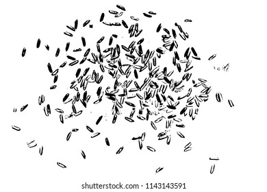 Grunge rice background. Handmade random pattern of rice explosion on the flat surface or table. Top view. Vector.