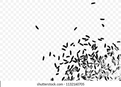 Grunge rice on transparent background. Handmade random pattern of rice explosion on the flat surface or table. Top view. Vector.