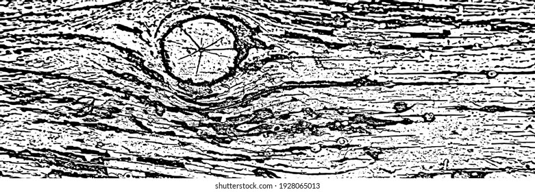 Grunge rough background, banner. Old wood texture.