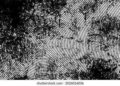 Grunge rough background. Vector textures, hades of gray.