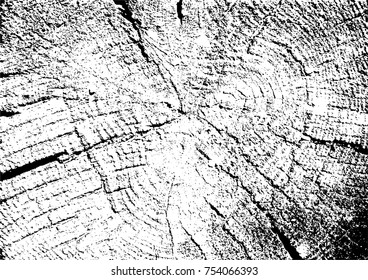 Grunge Rough Wood Distressed Vector Texture