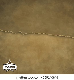 Grunge Scratch Texture