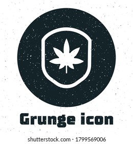 Escudo de Grunge y icono de la marihuana o hoja de cannabis aislados en fondo blanco. Legalización de la marihuana. Símbolo de cáñamo. Dibujo vintage monocromo. Ilustración vectorial