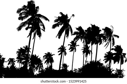 Grunge silhouette palm tree. Black and white vector illustration.