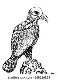 Grunge sketch of an eagle, hand drawn illustration.