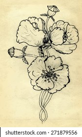 Grunge sketch of poppy flowers on yellow paper background.