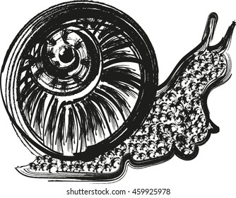 Grunge snail