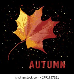 Grunge stamp of maple leaf, isolated.
Design for print. Vector illustration